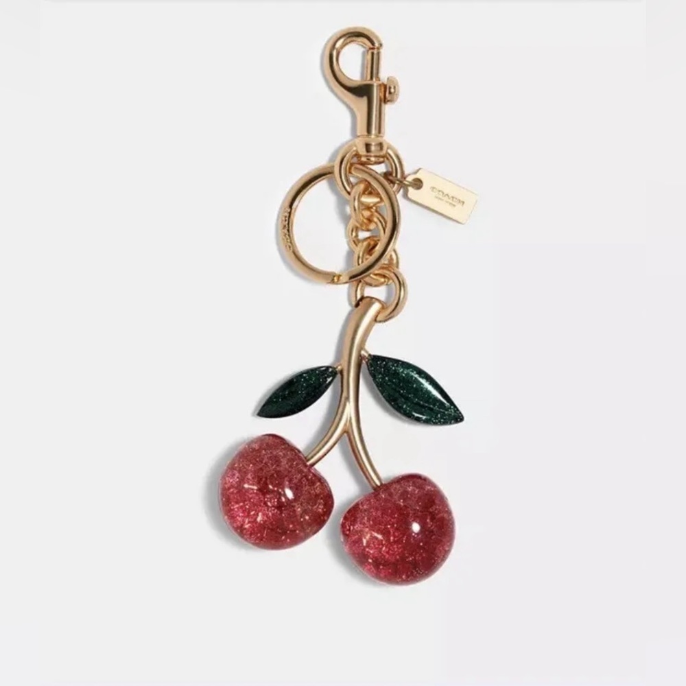 NWT Coach Cherry Charm